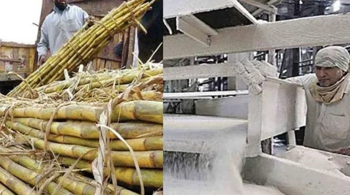 پنجاب شوگر مل 2025