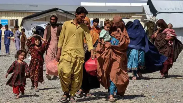 پاکستان افغان مہاجرین واپسی تھمب نیل 2025