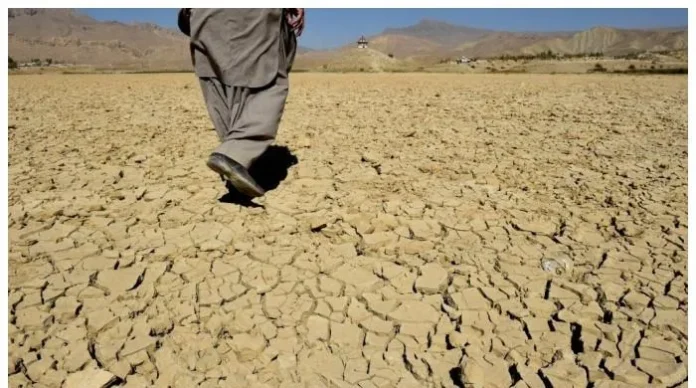 بلوچستان میں پانی کی قلت سے سوکھے ہوئے سیب کے باغات